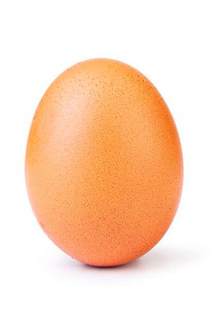 Снимок из аккаунта, посвященного куриному яйцу