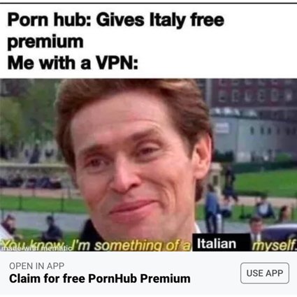 PornHub: *дает Италии бесплатный доступ к премиум-аккаунтам*. Я и мой VPN: 
