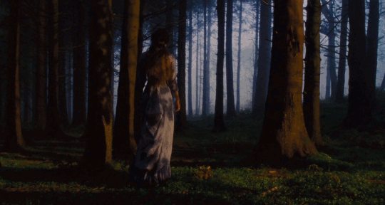 Ночь в запретном лесу последняя версия мод. Гермиона таинственный лес. Арден Кэтрин "мертвые голоса". She Forest. Монах и бес девушка бежит актриса.