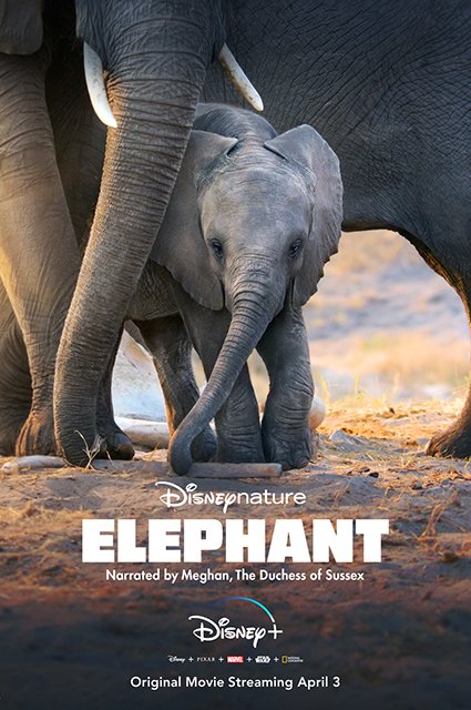 Афиша фильма Disneynature’s Elephant