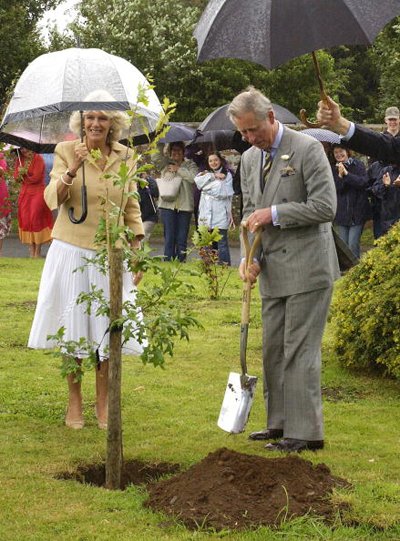 Принц Чарльз и герцогиня Камилла: восьмая годовщина свадьбы