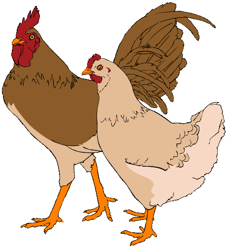 461px-Rooster_and_hen_clipart_01.svg