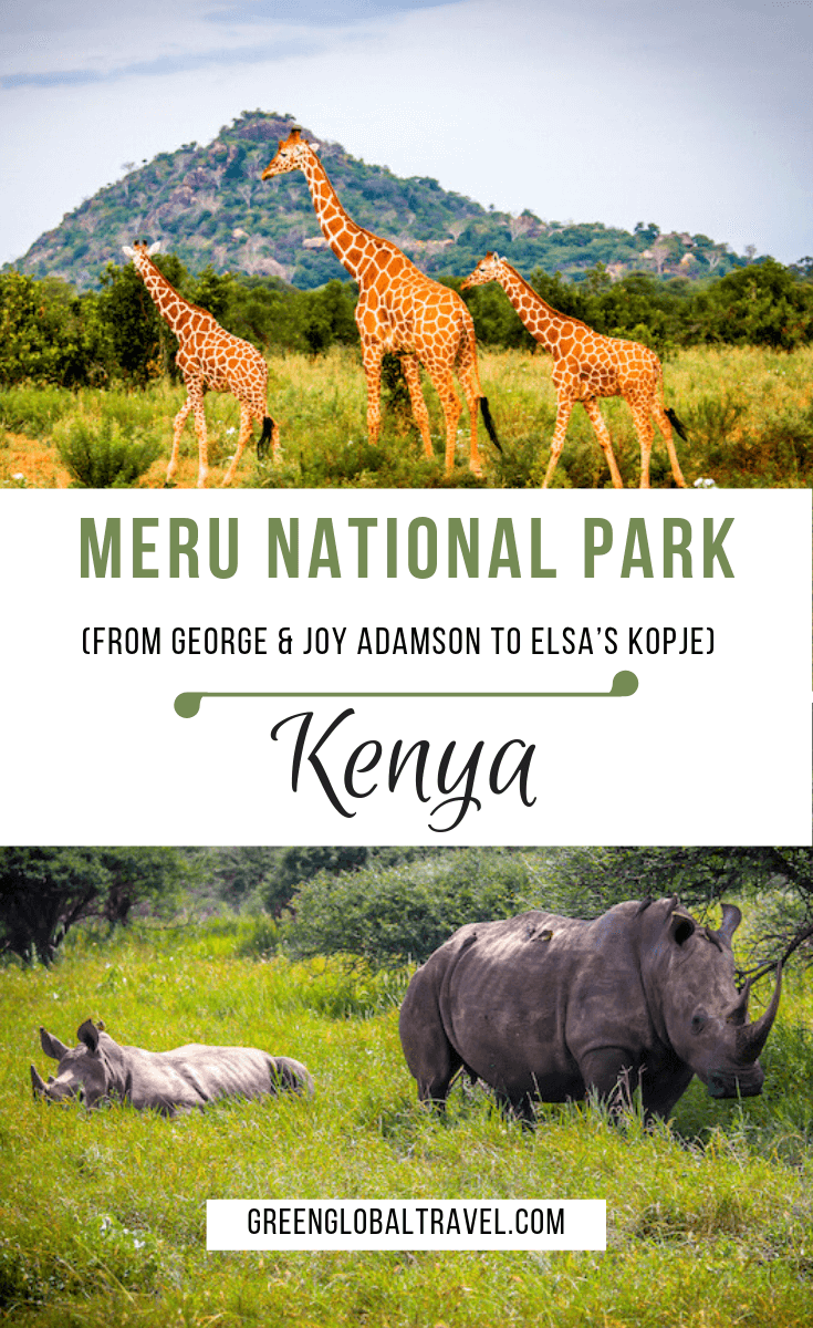 https://greenglobaltravel.com/wp-content/uploads/2018/12/Meru-National-Park-Kenya.png