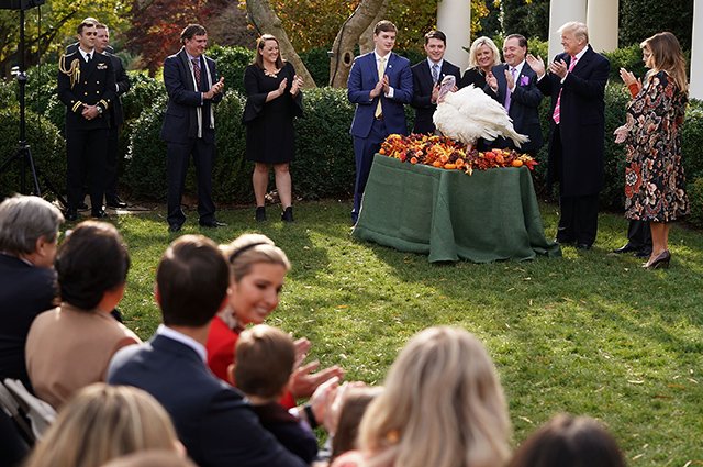 Семья Трамп на церемонии помиловании индейки