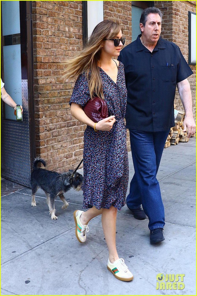 dakota johnson dons printed dress while taking her pup for a stroll 014117653