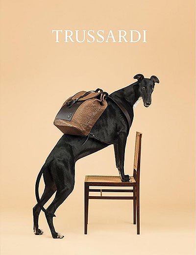 Реклама Trussardi