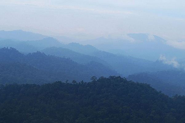 Фотографии пейзажей Борнео, которые сделала герцогиня Кэмбриджская Кэтри
