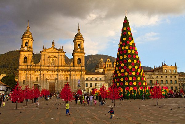 новогодняя елка в боготе в колумбии
