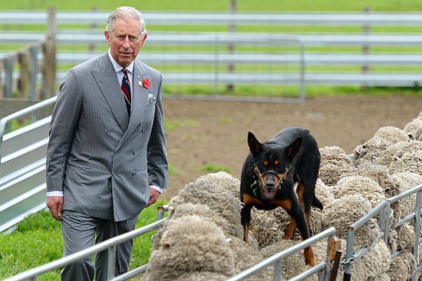 принц Чарльз на ферме в Австралии