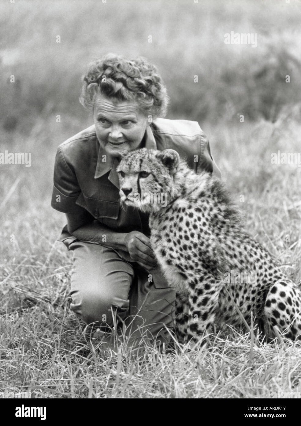 https://c8.alamy.com/comp/ARDK1Y/joy-adamson-famous-for-work-with-big-cats-posing-with-a-cheetah-ARDK1Y.jpg