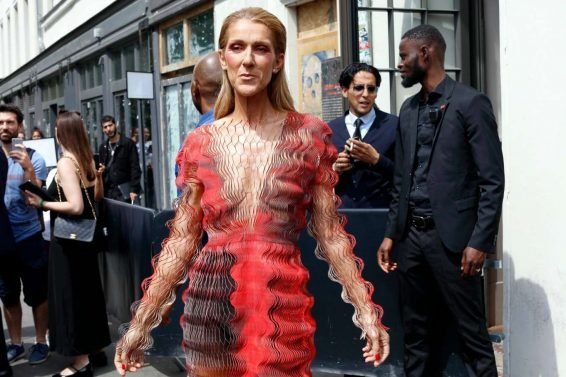Celine Dion in a Crinkle Mesh Dress-09