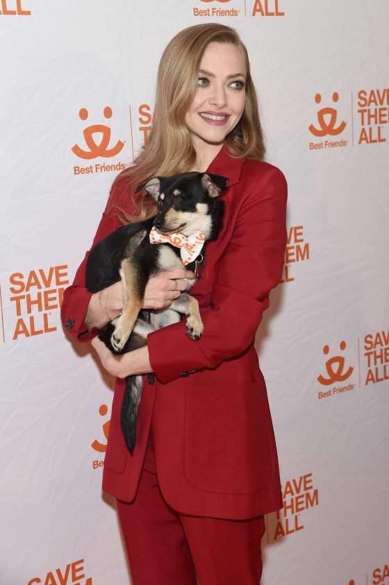 Amanda Seyfried: Best Friends Animal Society Benefit To Save Them All -11