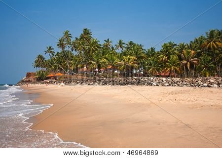 Вид на пляж Варкала, отель beach расположен в кокосовой роще за бруствер