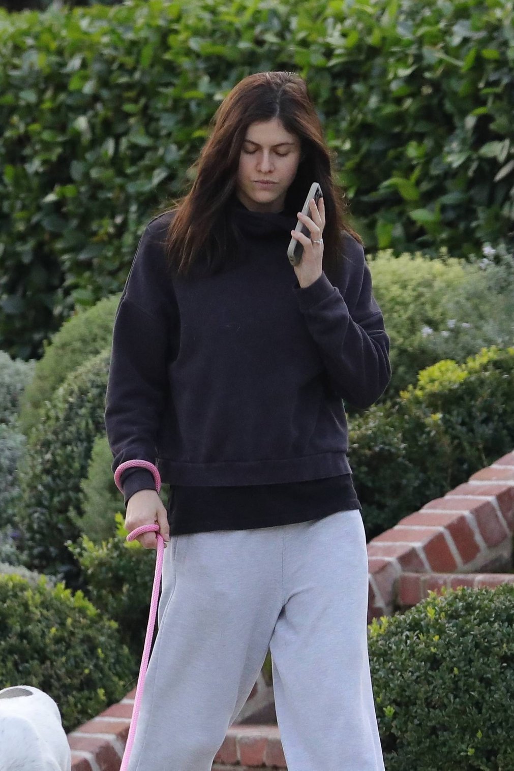 Alexandra Daddario 2021 : Alexandra Daddario – spotted with her dog near her home in Los Angeles-03