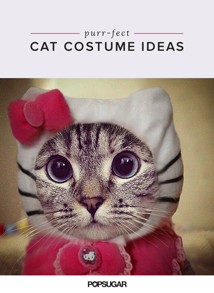 19 Paws-itively Perfect Cat Costumes