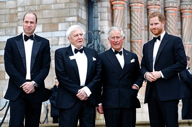 Принц Уильям, сэр Дэвид Аттенборо, принц Чарльз и принц Гарри