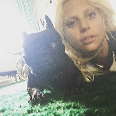 Леди Гага с домашним питомцем