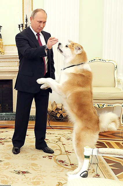 Владимир Путин с собакой Юмэ перед началом интервью в Кремле