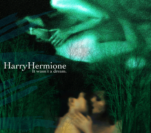 https://images5.fanpop.com/image/photos/31700000/harry-and-hermione-harry-and-hermione-31717456-492-433.gif
