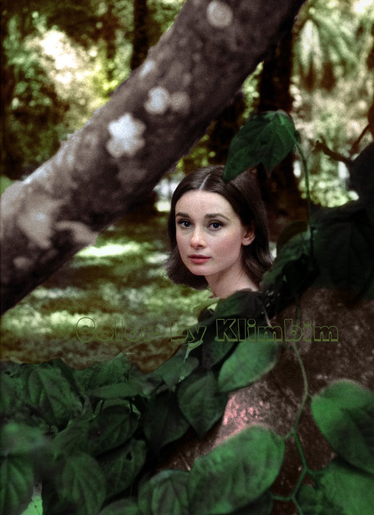 Audrey-Hepburn- color.jpg