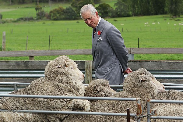 принц Чарльз на ферме в Австралии