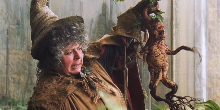 https://static0.srcdn.com/wordpress/wp-content/uploads/2019/11/Miriam-Margolyes-As-Pomona-Sprout-In-Harry-Potter.jpg?q=50&fit=crop&w=740&h=370