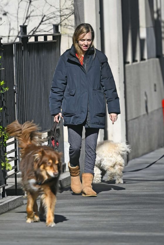 Amanda Seyfried: Walks her dog in New York -03