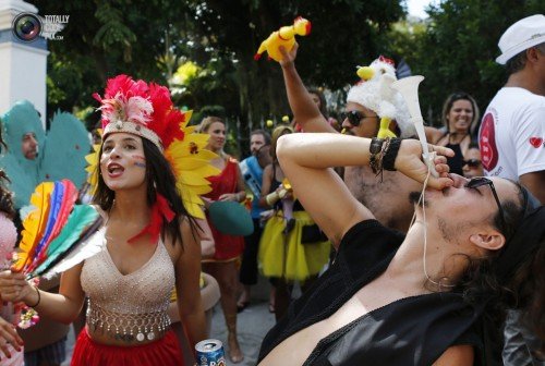Ежегодный карнавал в Рио 2014