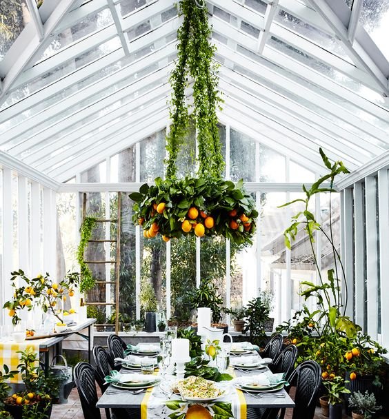 Greenhouse spring party inspired by a citrus grove. | Williams-Sonoma: 