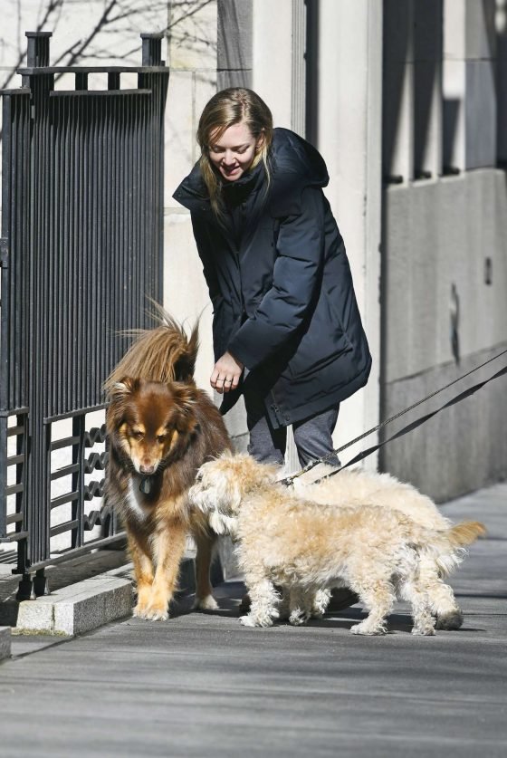 Amanda Seyfried: Walks her dog in New York -09