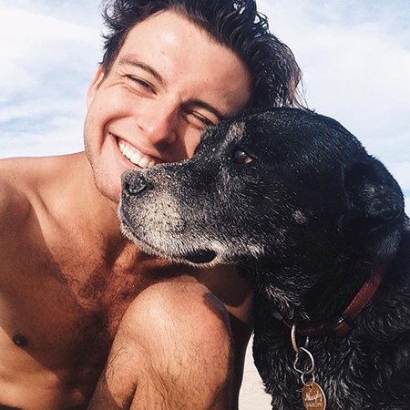 Кэмерон с собакой. Фото из Instagram