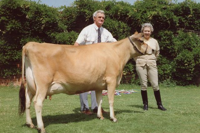 Королева Елизавета II с фермером Доном Фергюсоном в 1992 году