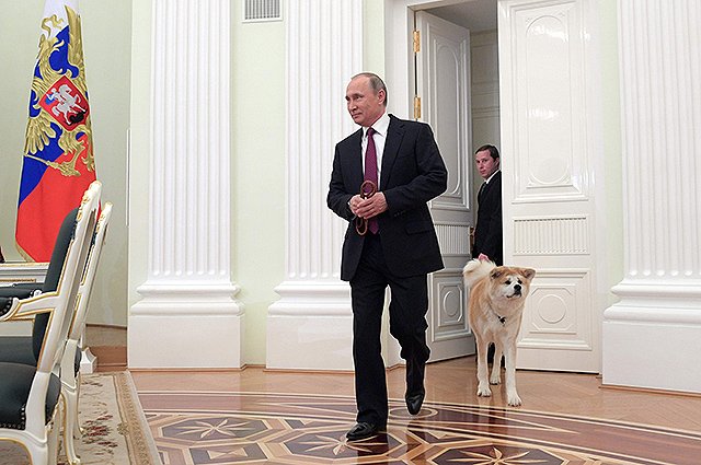 Владимир Путин с собакой Юмэ перед началом интервью в Кремле 