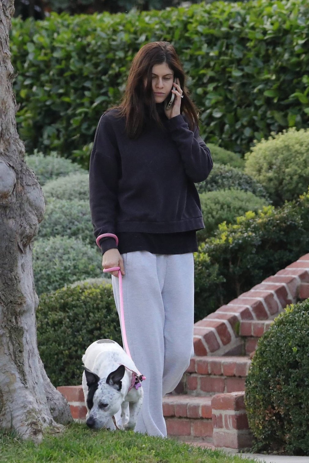 Alexandra Daddario 2021 : Alexandra Daddario – spotted with her dog near her home in Los Angeles-10