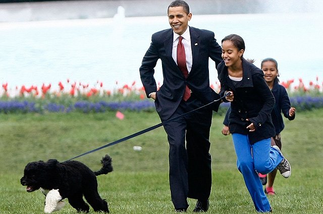 Барак Обама и Малия с Бо, 2010 год