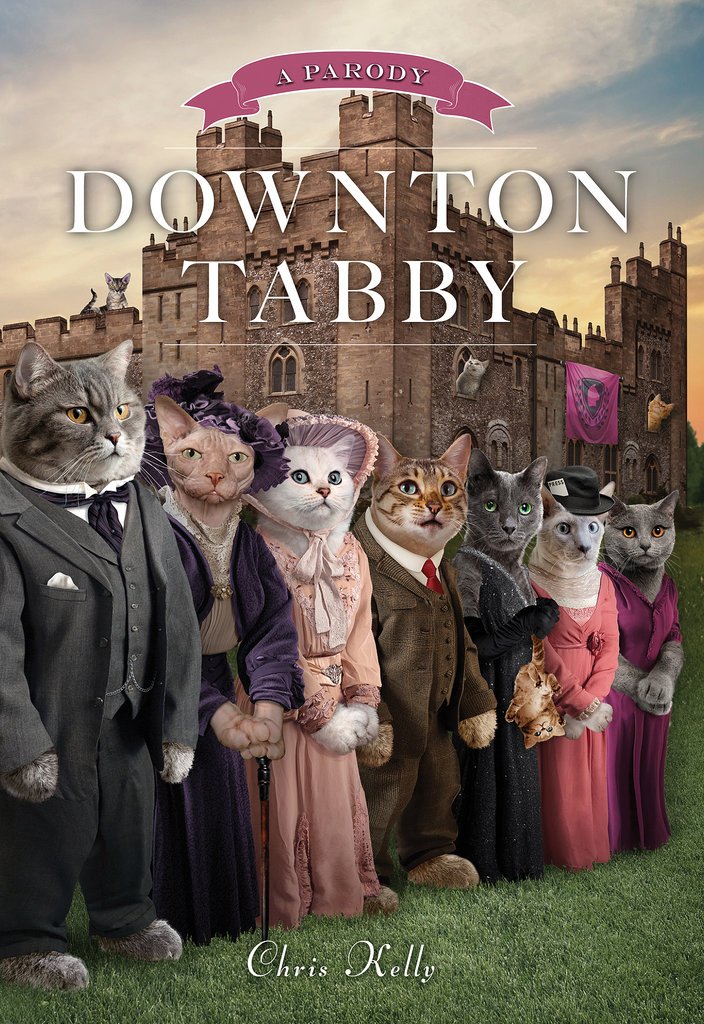 Downton Abby Book