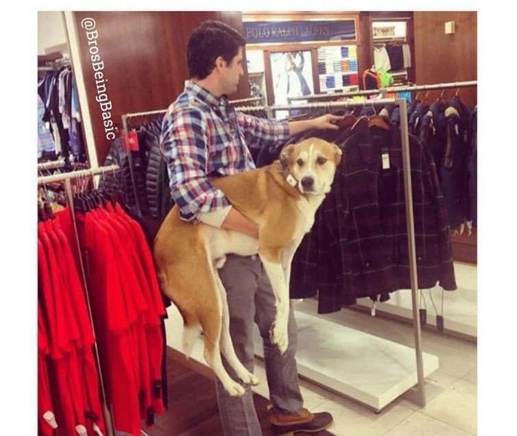 По магазинам с любимой собачкой