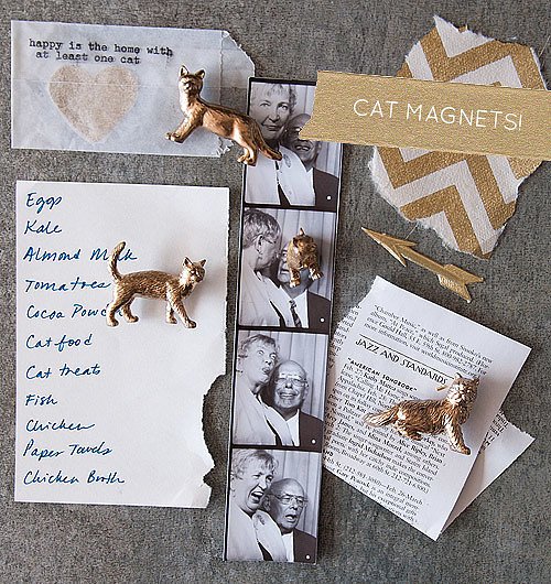 Cat Magnets