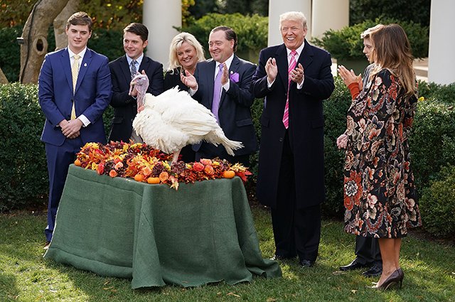 Семья Трамп на церемонии помиловании индейки