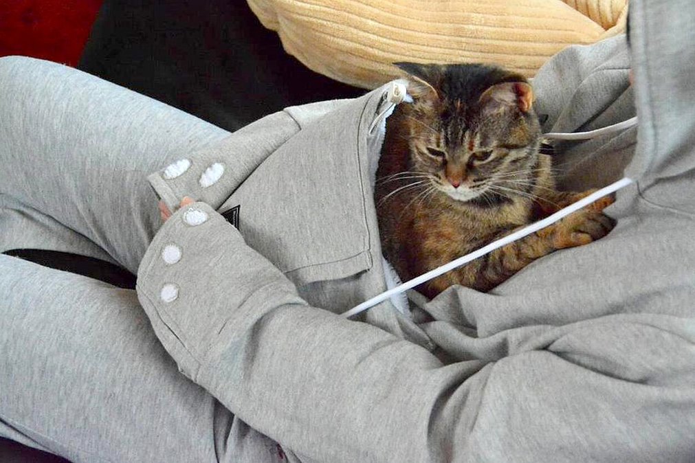 The Hoodie You Never Knew You Needed — 1 With a Pet Pocket