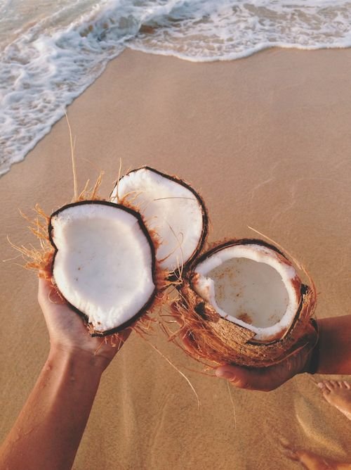 Coconut: 