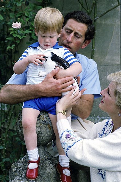 Принц Гарри с принцем Чарльзом и принцессой Дианой