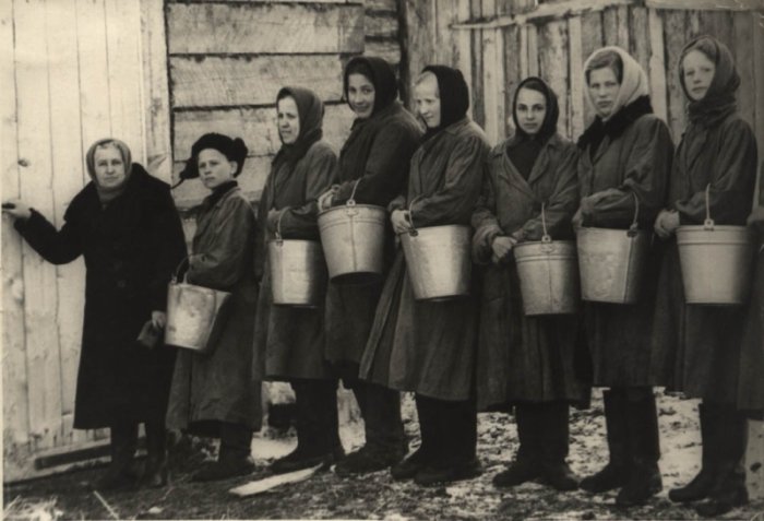 Группа юных доярок во главе с директором школы пришли на ферму. СССР, 1950-е годы.