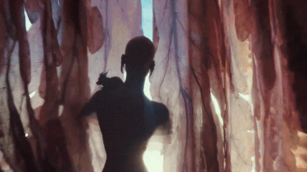 https://gifed.video/gif/001/pearl-female-alien-valerian-and-the-city-of-a-thousand-planets.gif