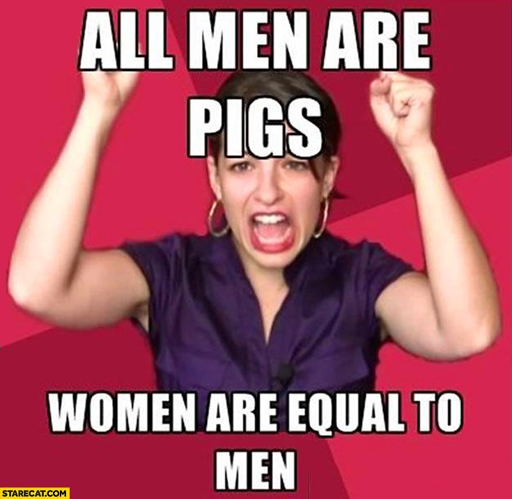 https://starecat.com/content/wp-content/uploads/all-men-are-pigs-women-are-equal-to-men-feminist-meme.jpg