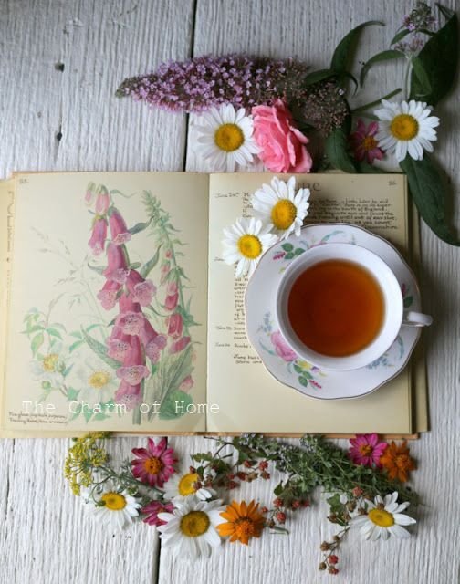 Stunning aerial shot -- June Visual Tea/Garden Journal at The Charm of Home: 