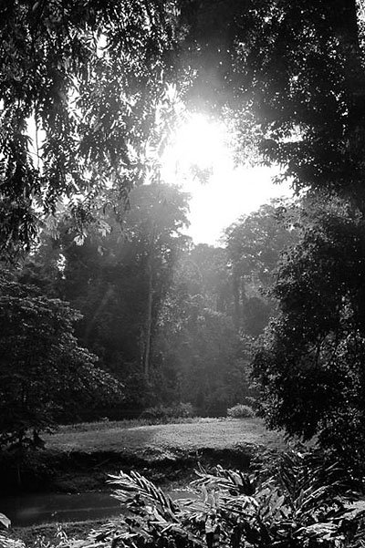 Фотографии пейзажей Борнео, которые сделала герцогиня Кэмбриджская Кэтри