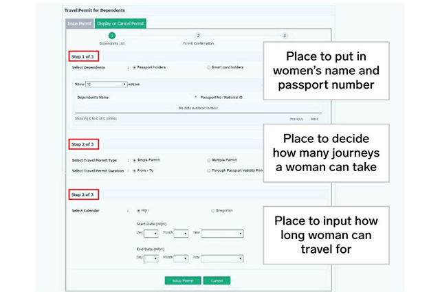 Скриншот страницы приложения, где требуется внести паспортные данные женщины, а также указать количество и продолжительность разрешенных поездок