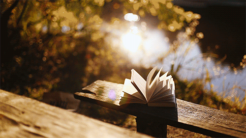 http://bestanimations.com/Books/pretty-book-bench-nature-water-outdoors-animated-gif.gif