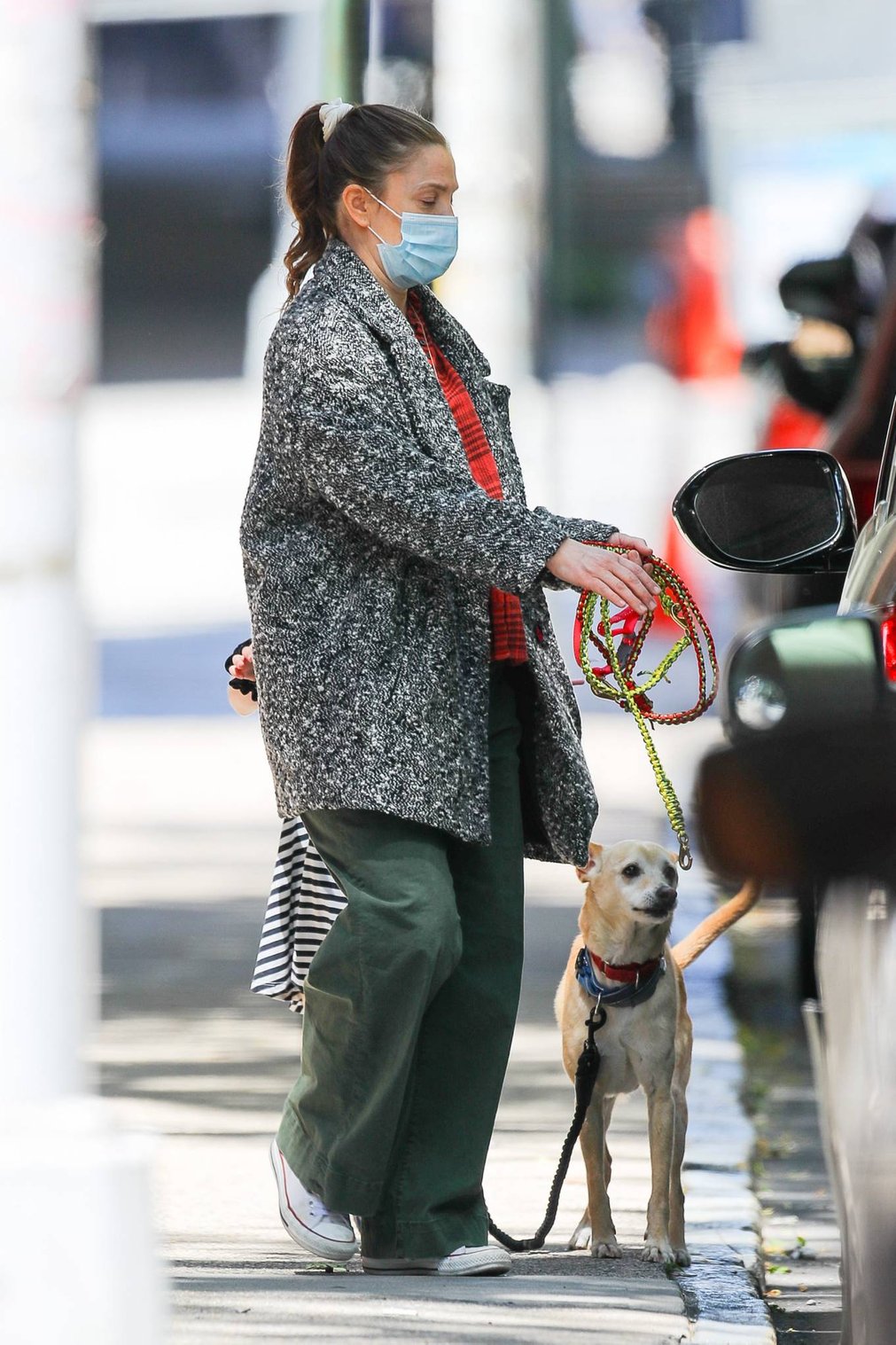Drew Barrymore 2021 : Drew Barrymore – Seen with her dog while out and about in New York-06